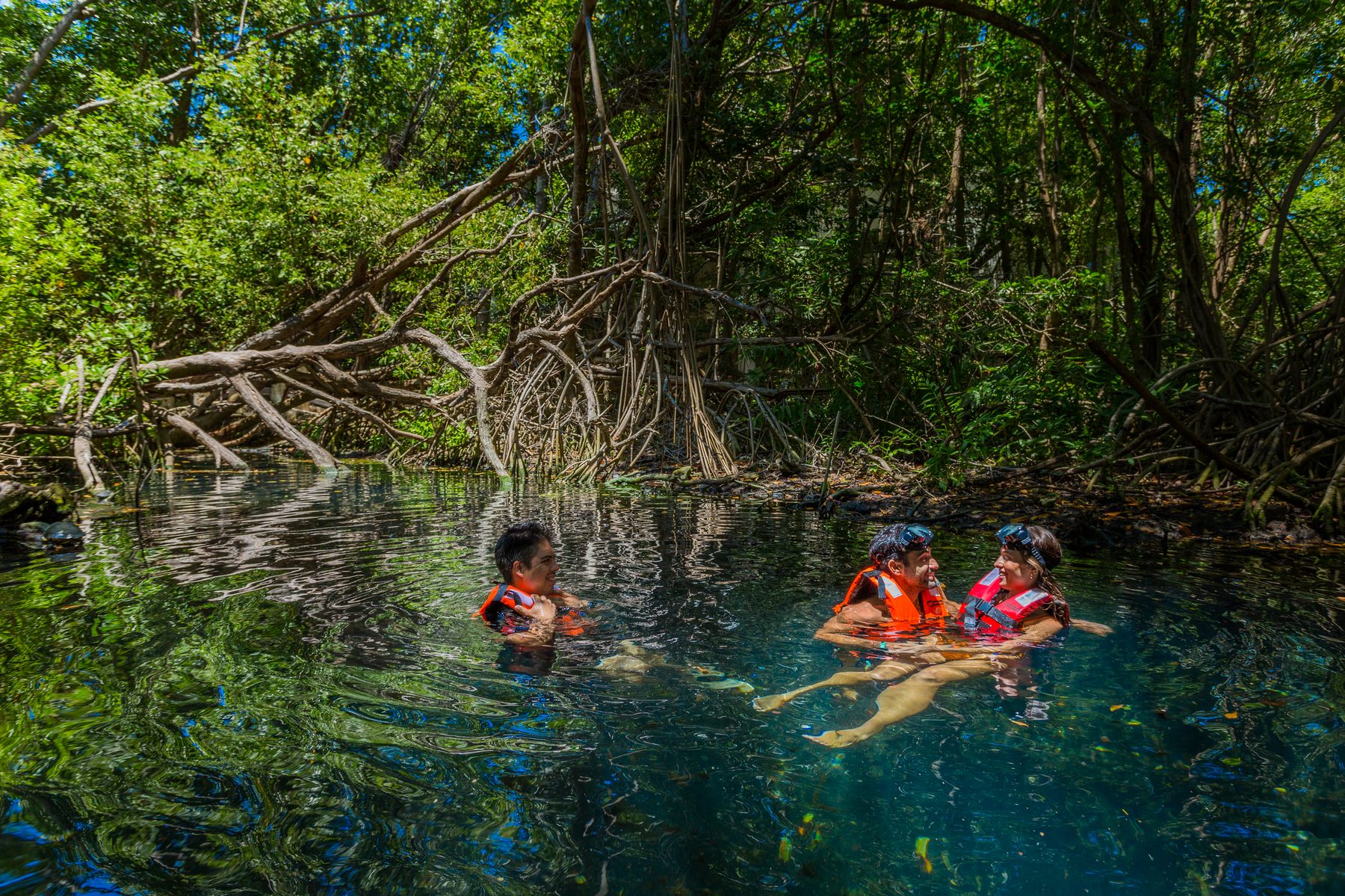 Jade River mangrove waterway