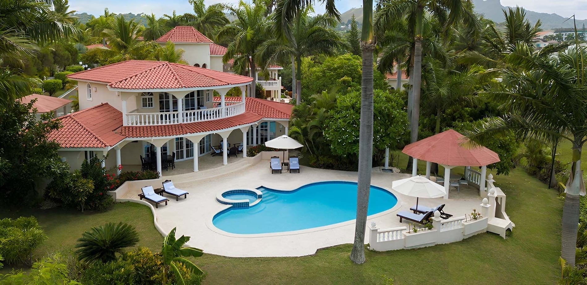 Villa pool surrounded by palms